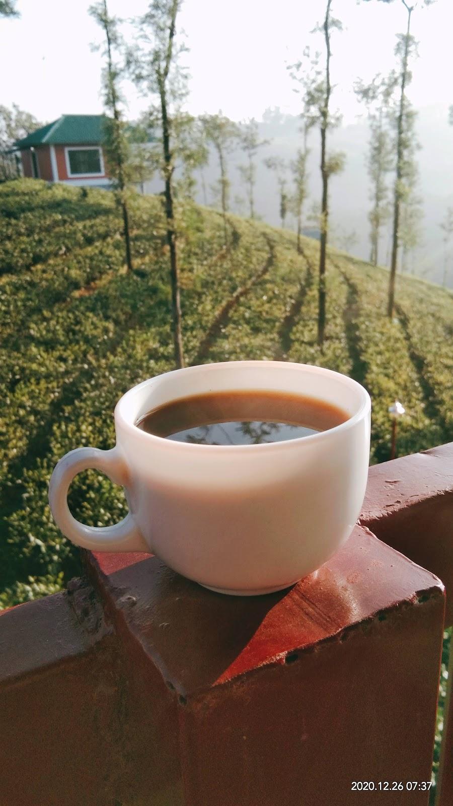 Vagamon Green Hill Estate – photo 4
