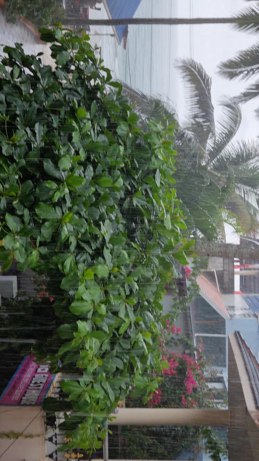 Hotel Beach Florra Inn – photo 2
