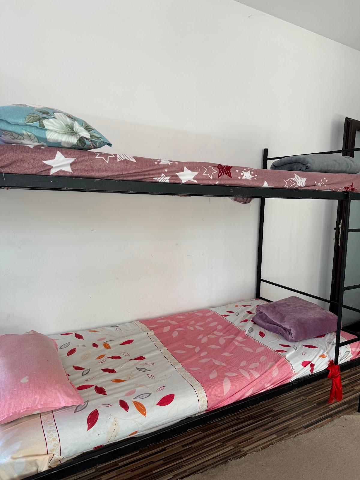 Nepali hostel (नेपाली होस्टेल ) – photo 4