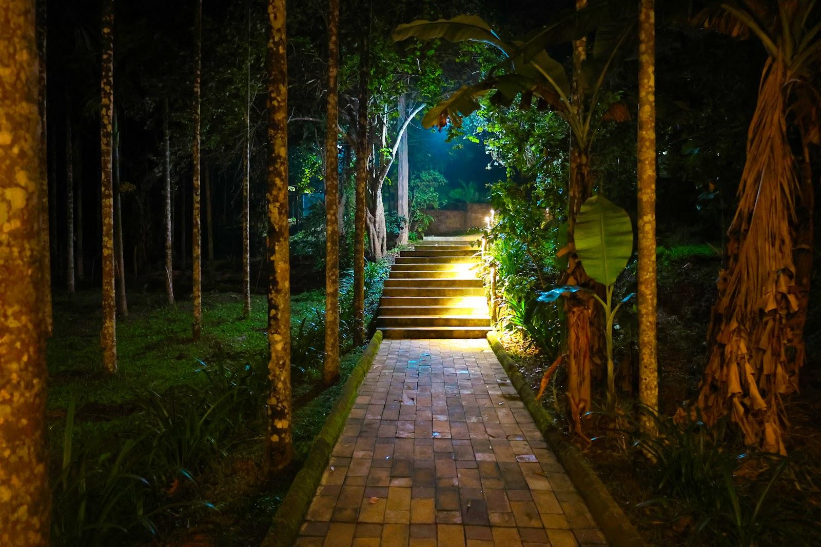 Nadi Mane Cottages – photo 1