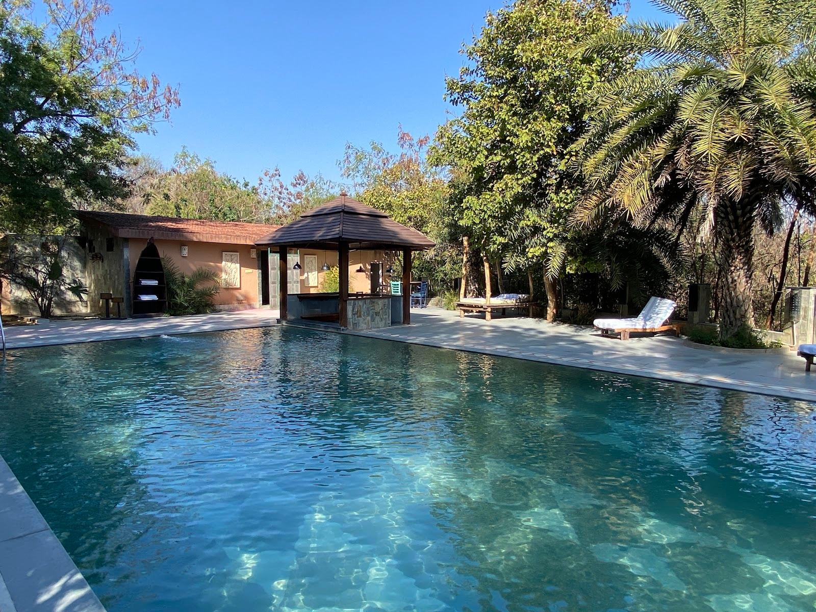 The Tree House Resort | Jaipur – photo 4