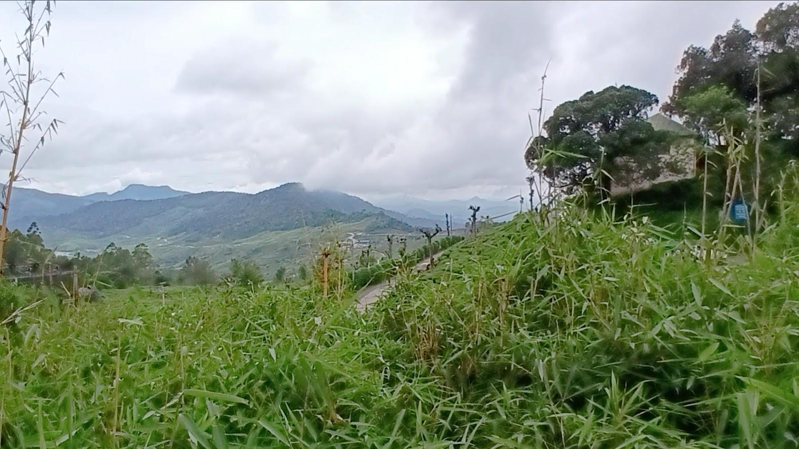 Munnar Tea Hills Resort – photo 3