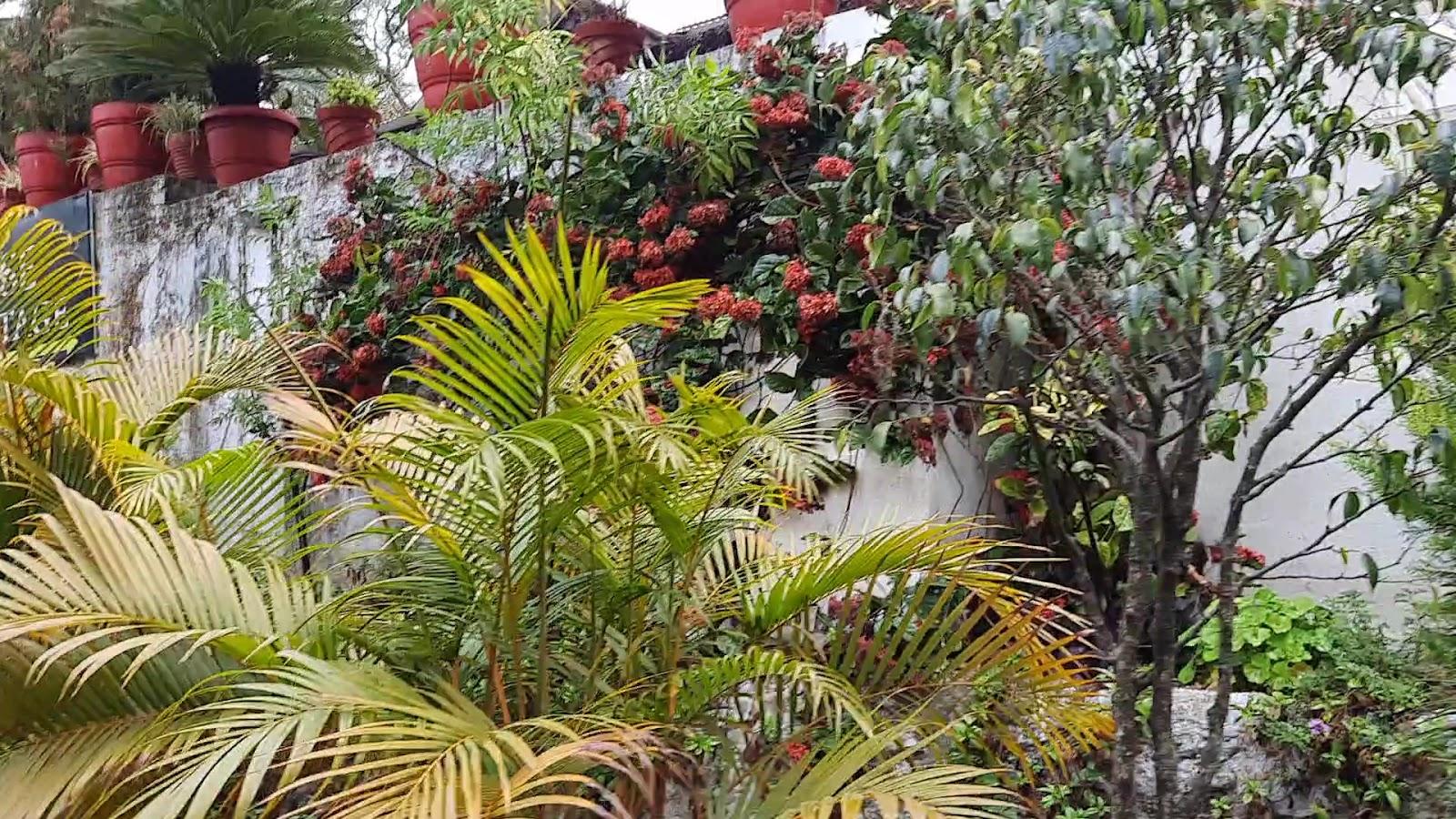 Rose cottage - A Heritage Retreat – photo 3