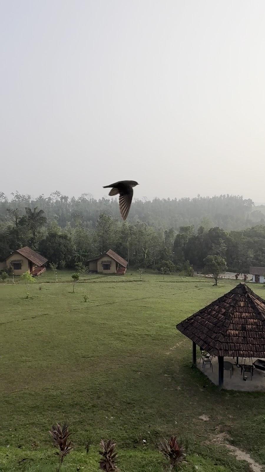 Myst Resort – photo 2