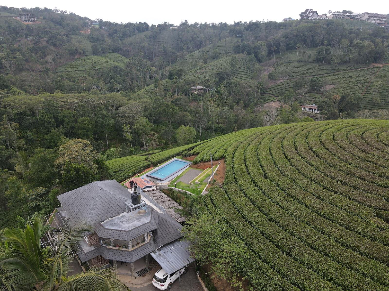 Tea Harmony Bunglow – photo 1