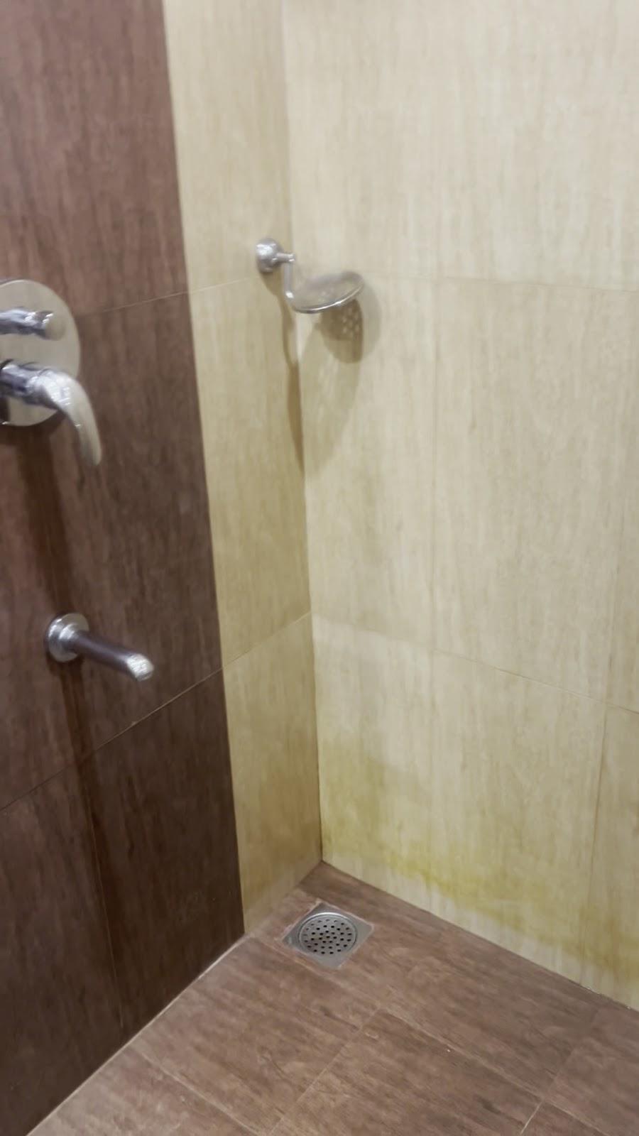 Regenta Central Herald By Royal Orchid Hotels ltd – photo 2
