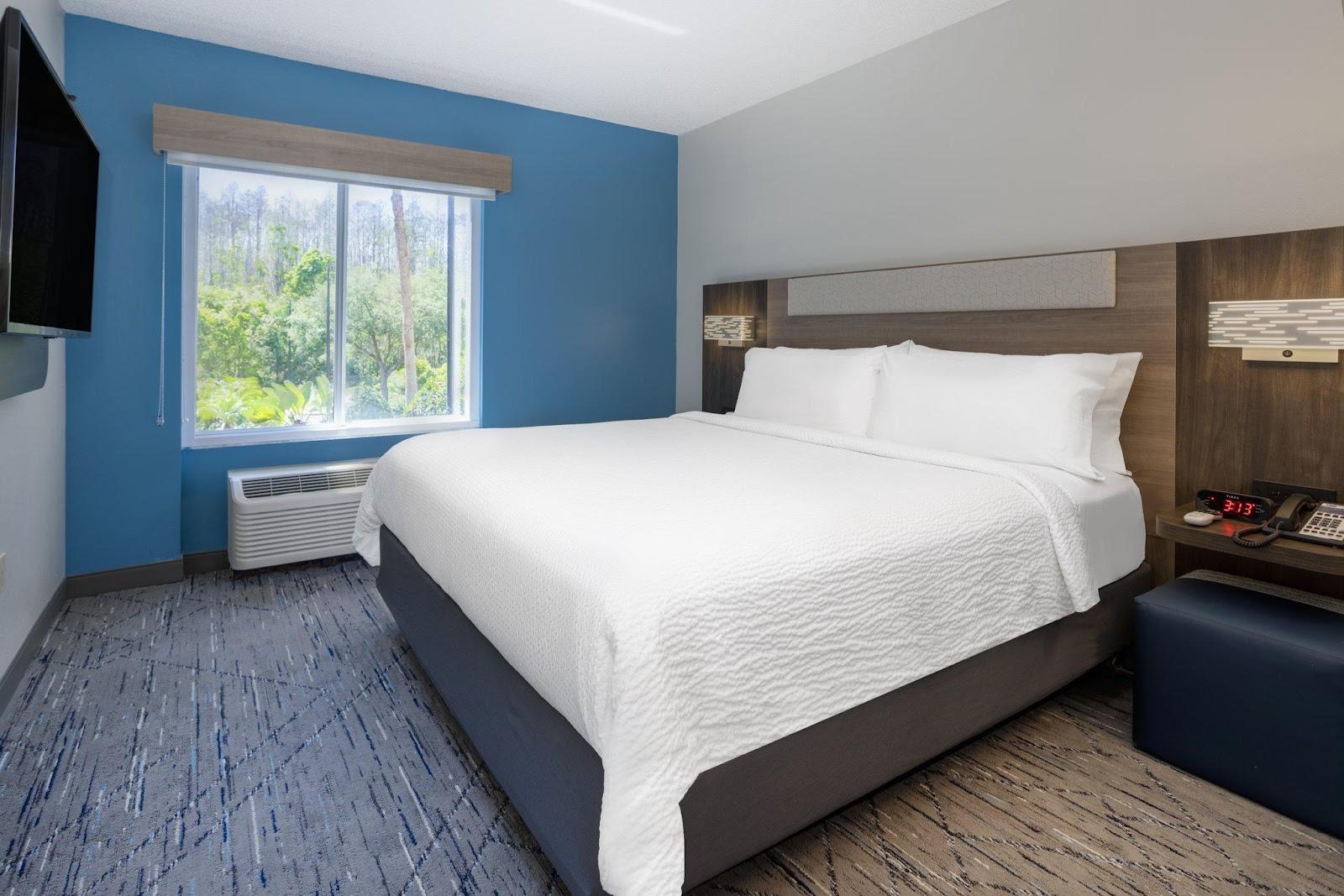 Holiday Inn Express & Suites Tampa-I-75 @ Bruce B. Downs by IHG – photo 2