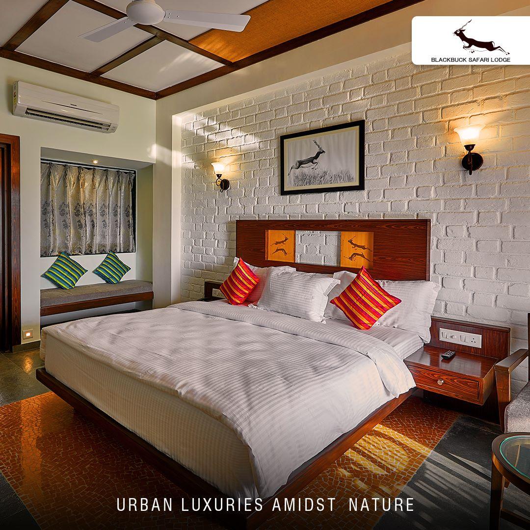 Blackbuck Safari Lodge-Velavadar – photo 3