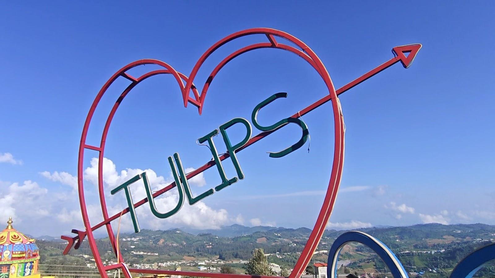 Tulips Village Resorts – photo 2