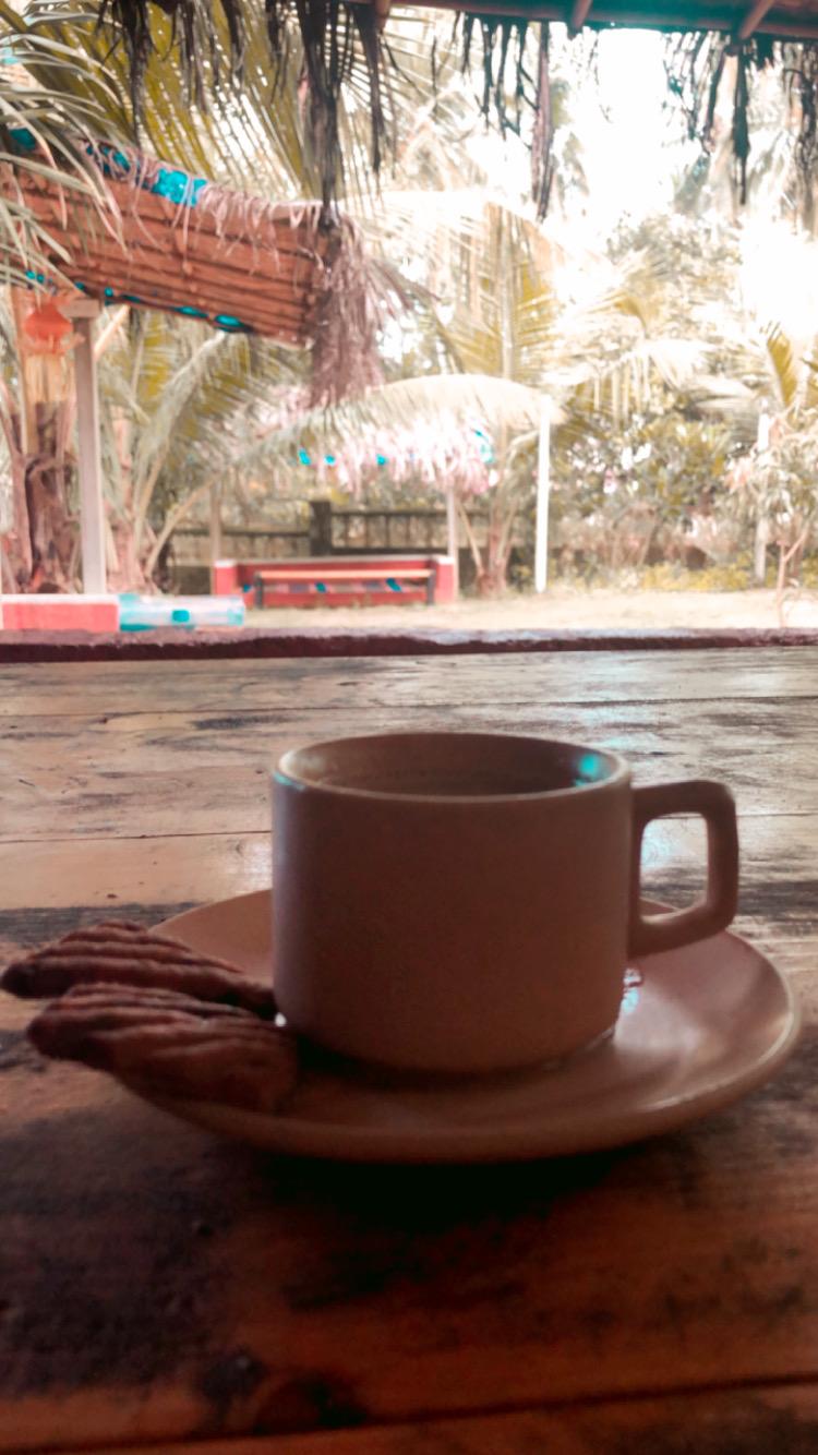 Green Nest Hostel - Anjuna, North Goa – photo 2