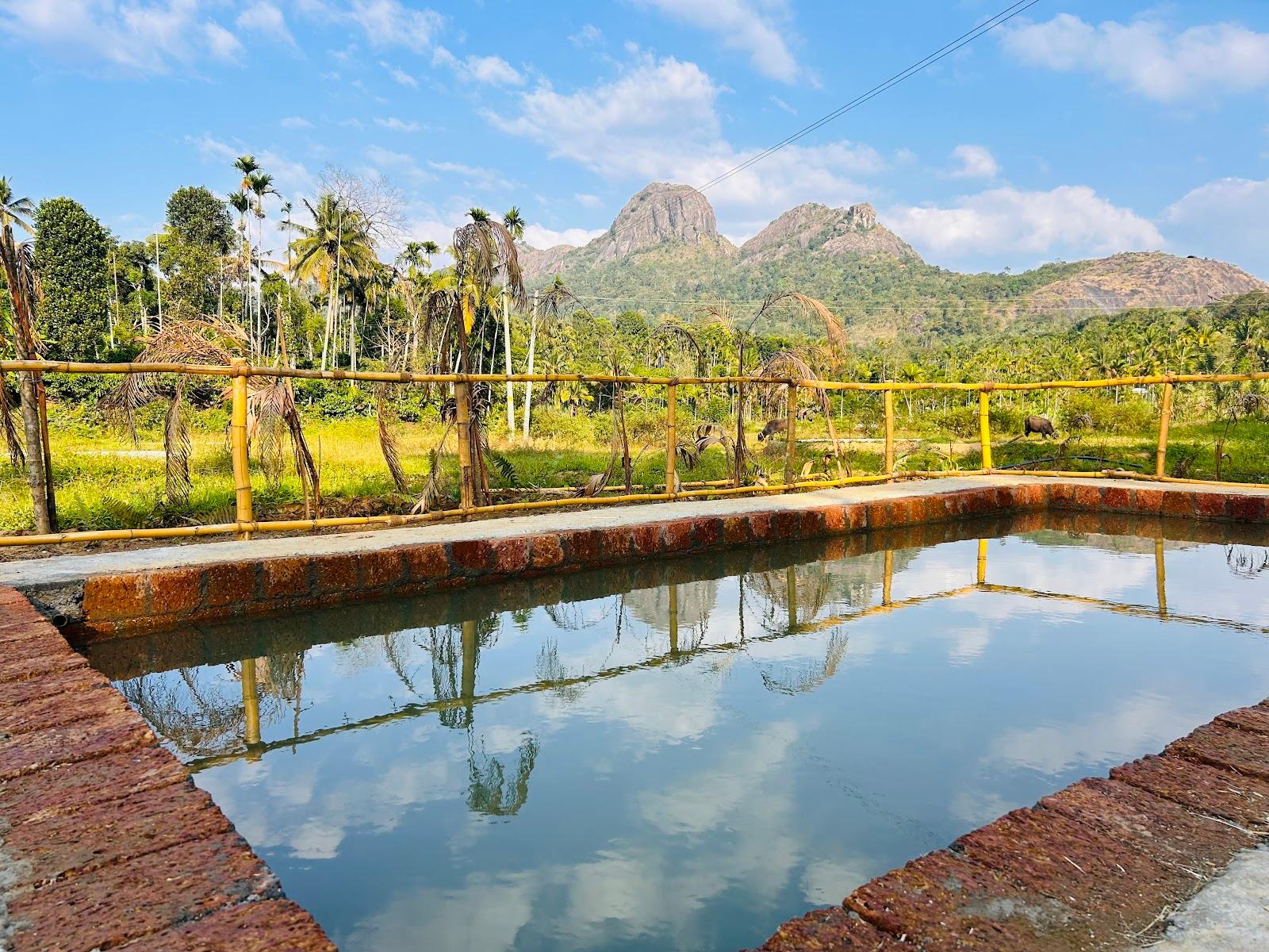 Wayanad Resort – photo 4