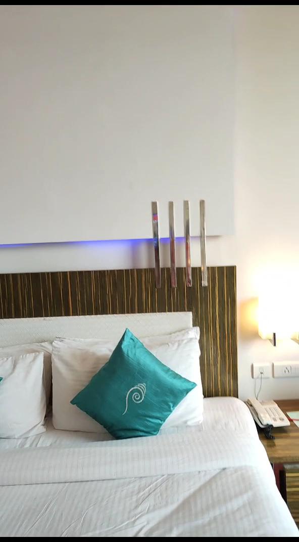 Ambica Sea Green – photo 2