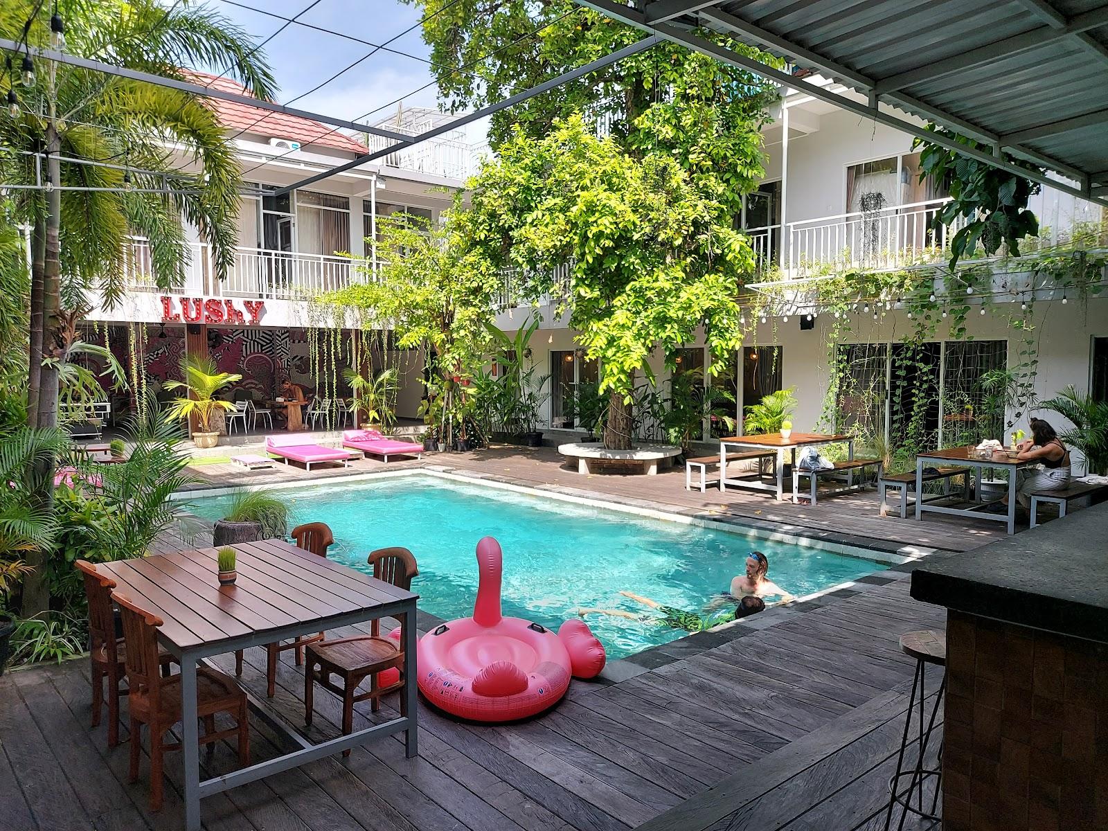 Lushy Hostels – photo 1