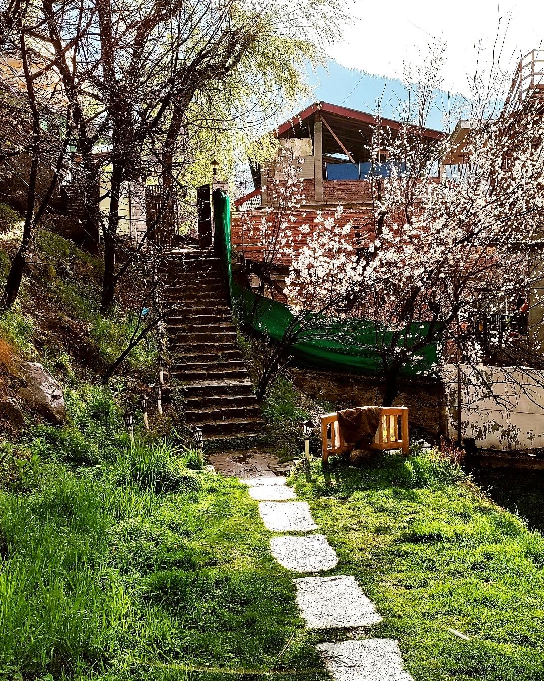 Hotel Tiger Inn, Manali Hostel & B&B – photo 1