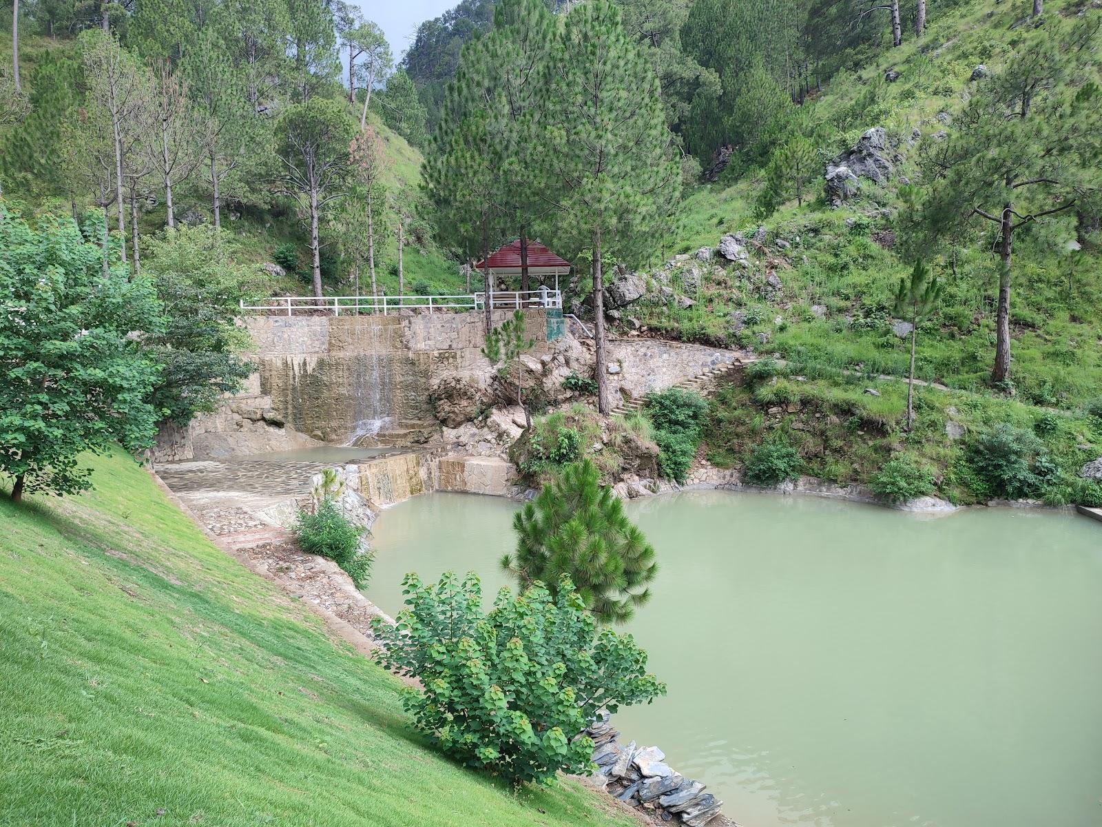 Pine Cottages & Villas – photo 2