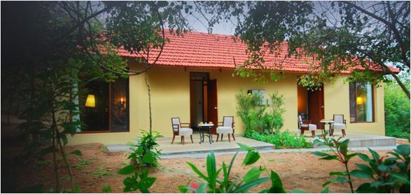 The Windflower Jungle Resort & Spa Bandipur – photo 1