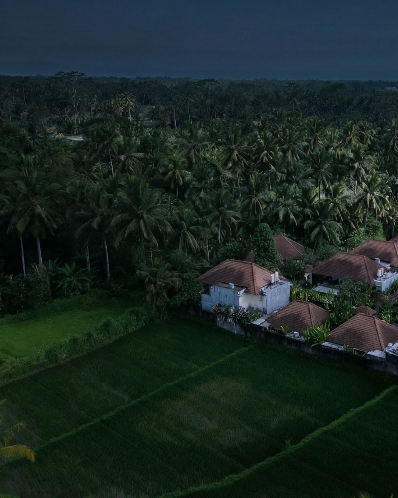Dedary Resort & Spa Ubud by iNi Vie Hospitality – photo 4