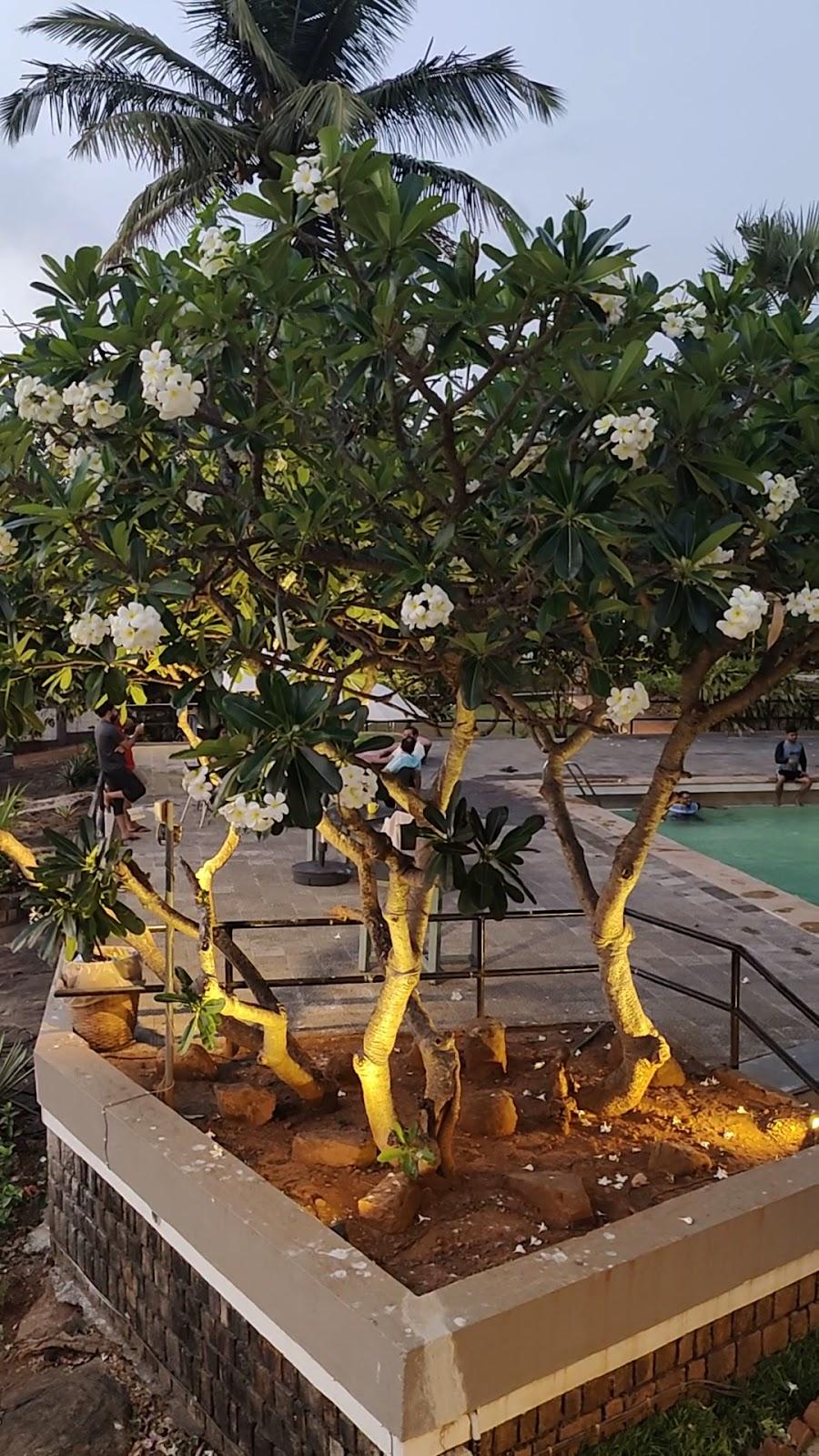 The Lighthouse / U-Tan Sea Resort at 9167774307 – photo 2