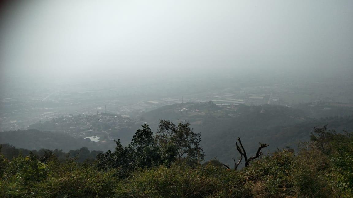 Hotel Pine View kasauli road – photo 4