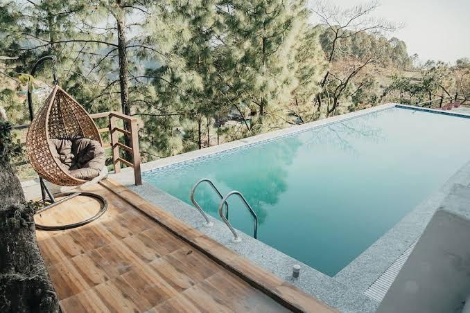 Blue Pine Pool – photo 3