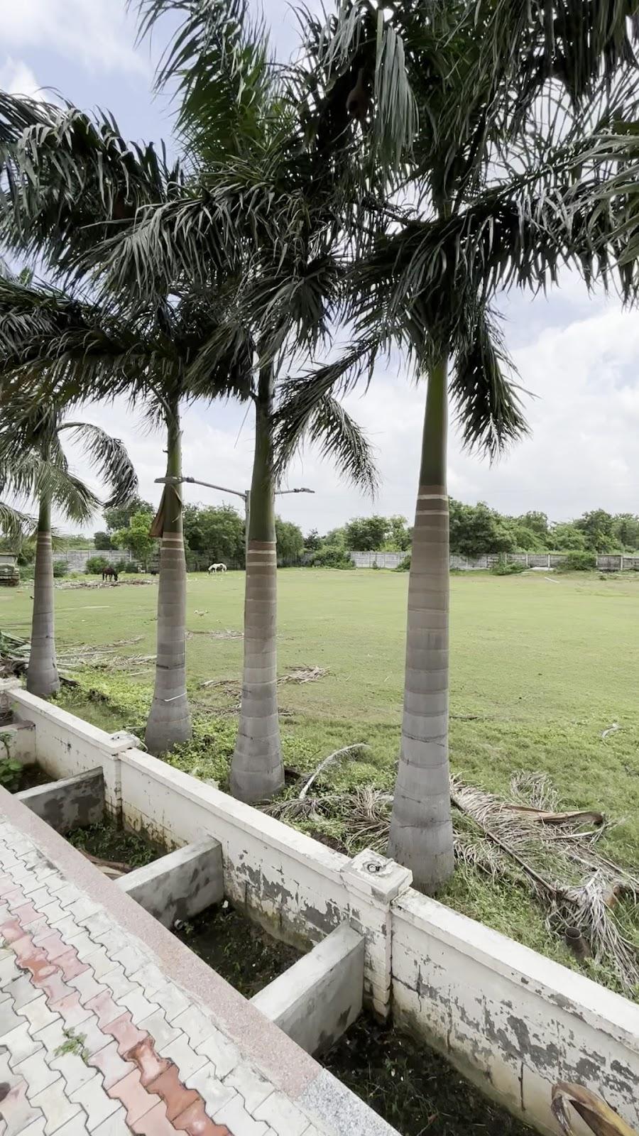 Ajmeri Farm – photo 2