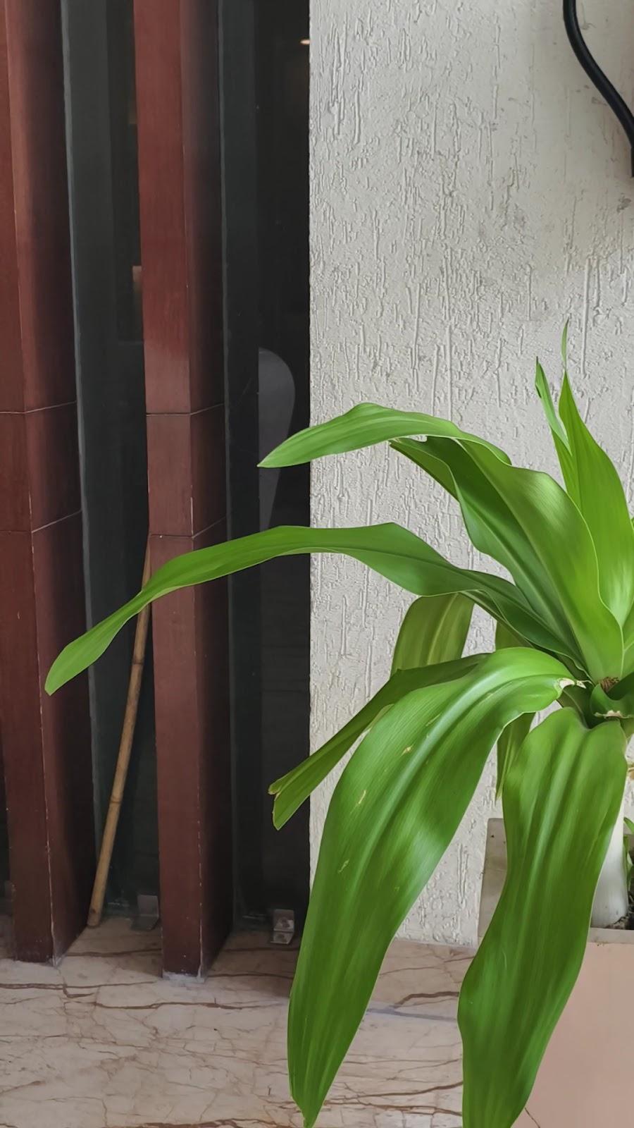 HOTEL Le ROI, Haridwar – photo 2