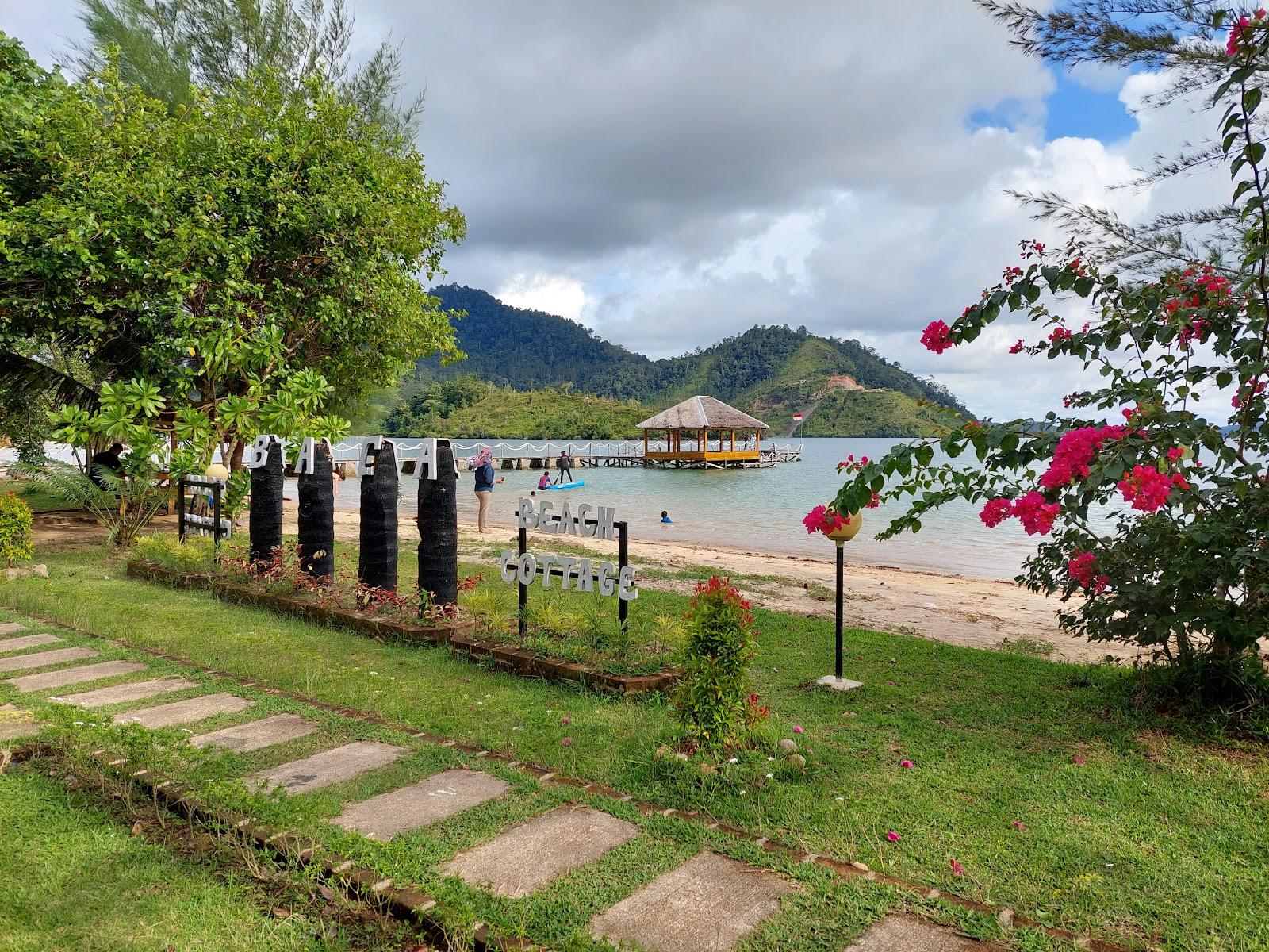 Baga Beach Cottage – photo 4