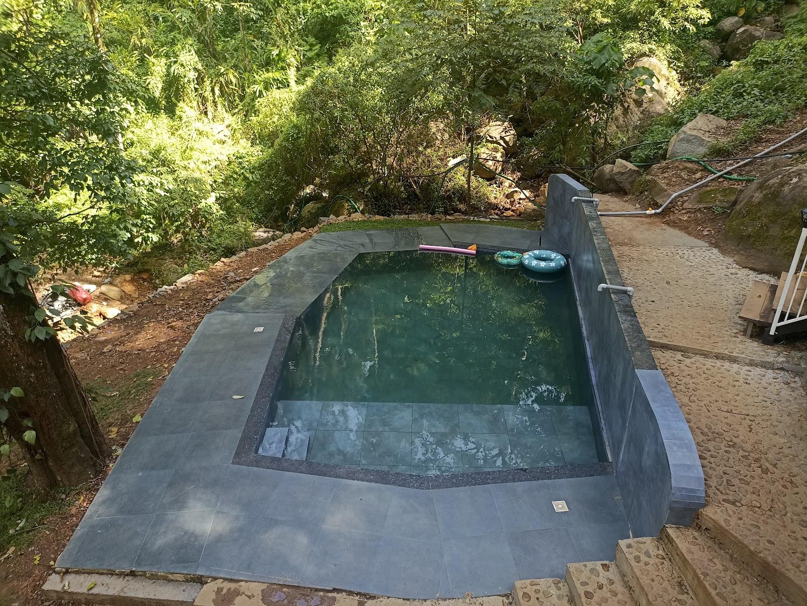 Fossil 900 Woods Resort Wayanad