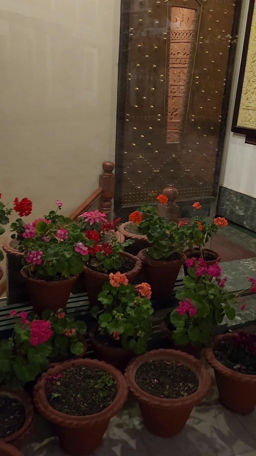 Alka The Lake Side Hotel – photo 1