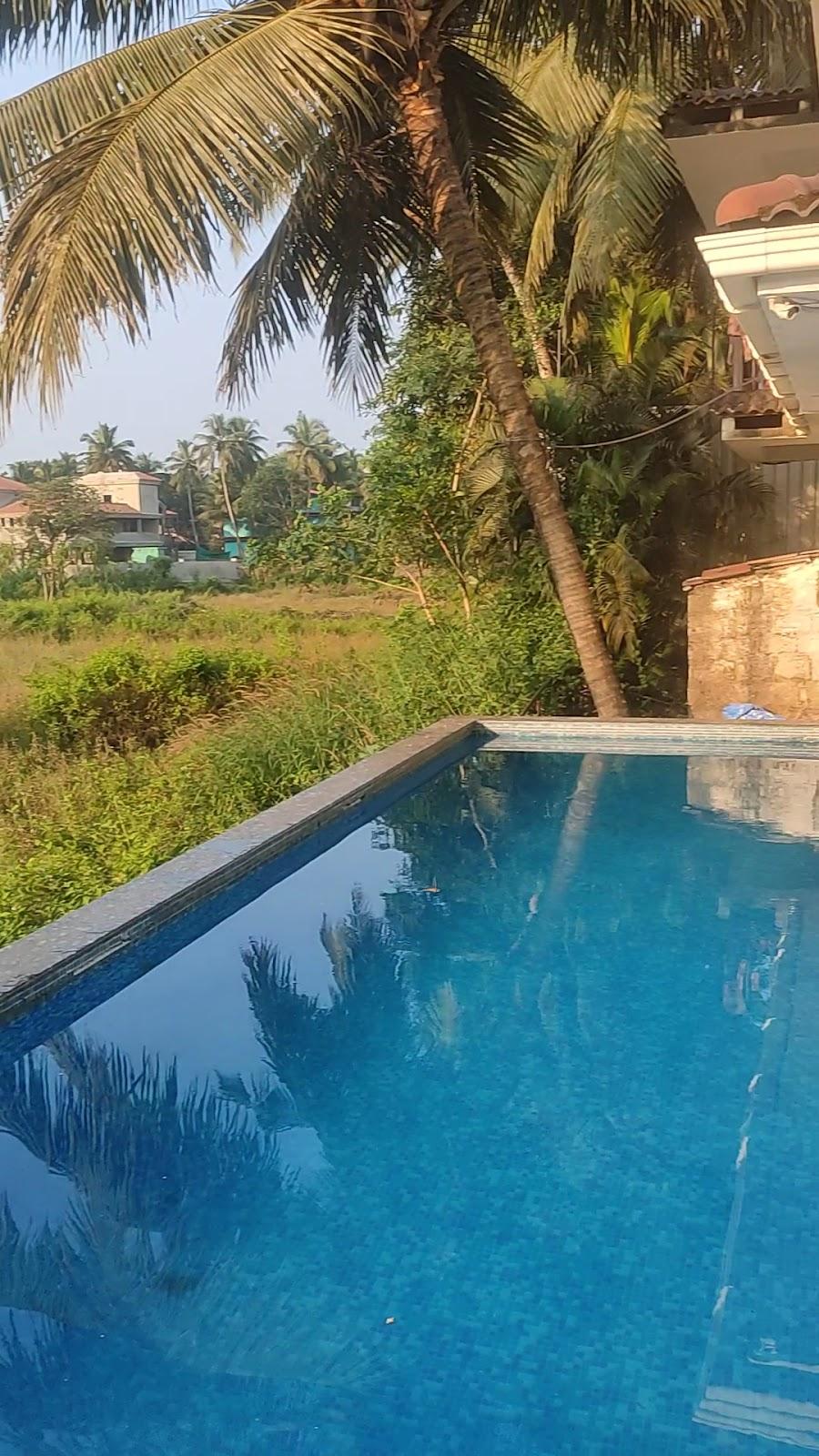 Meadow View resort – photo 2