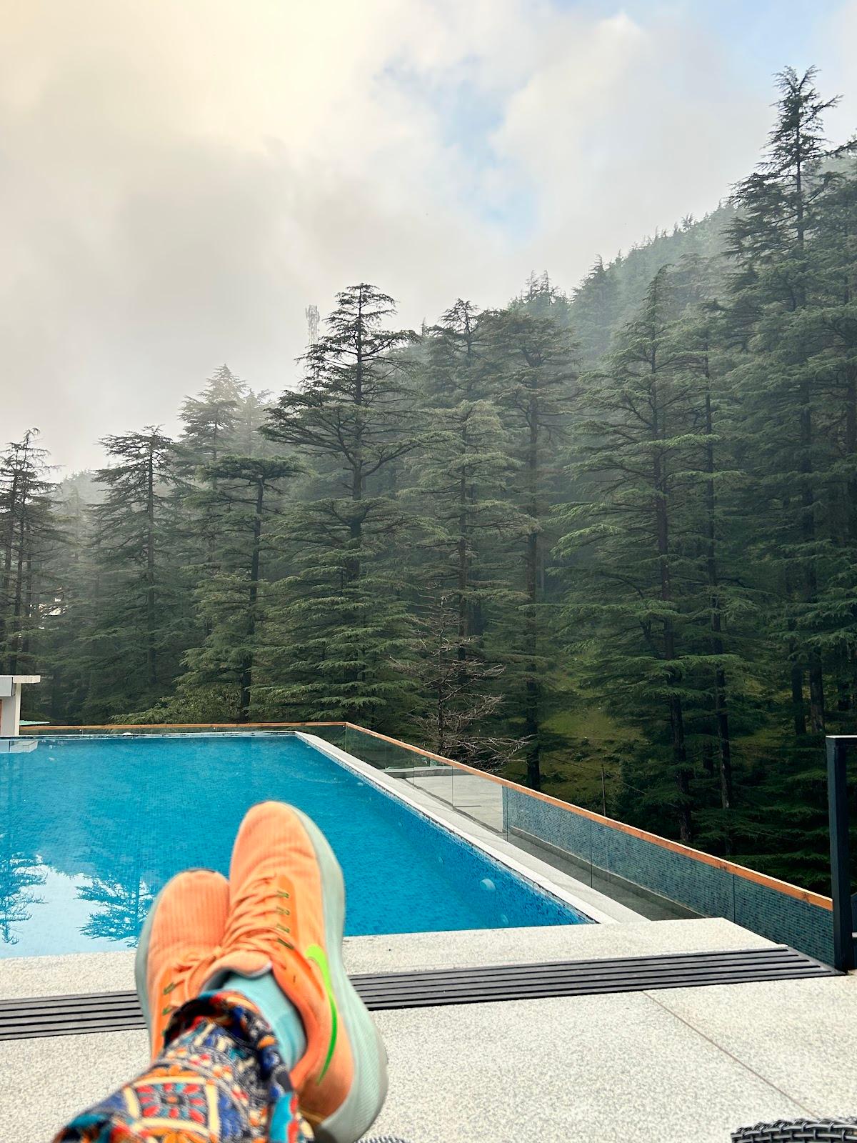 Mastiff Select Mandavya Dharamkot, Mcleodganj – photo 3