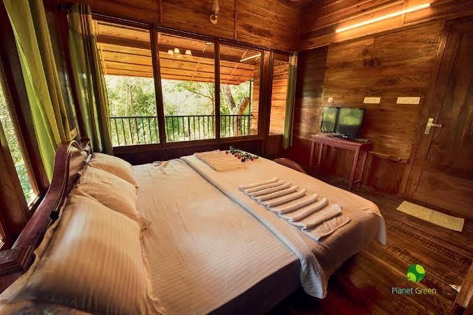 Planet Green Plantation Resort – photo 3