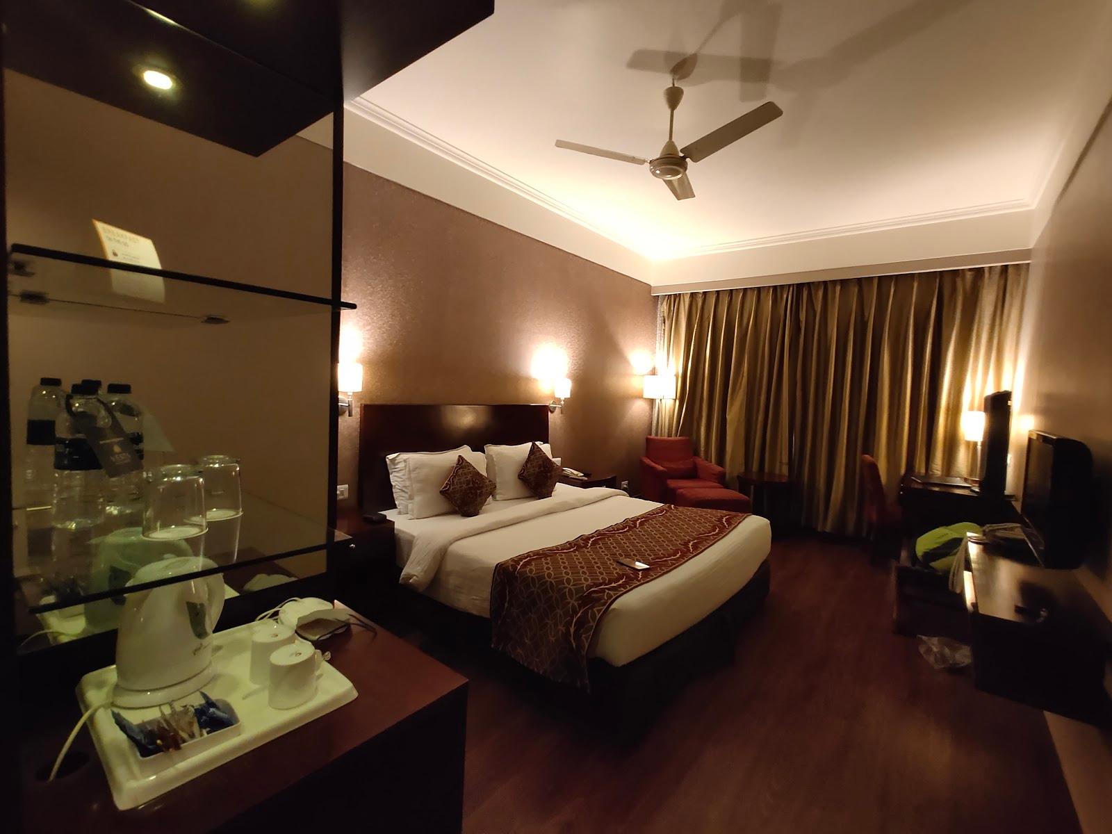 Vesta Maurya Palace – photo 3