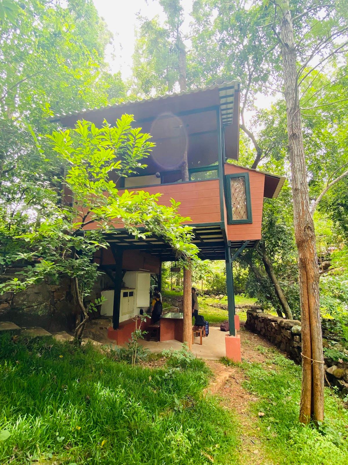Yelagiri Tree House – photo 3
