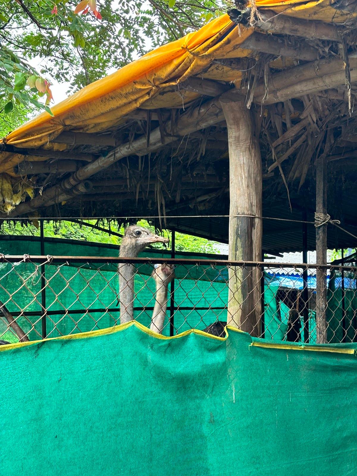 Saguna Baug – photo 3