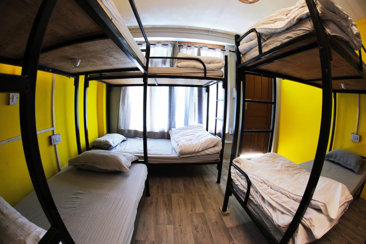 Whoopers Hostel Tosh – photo 3