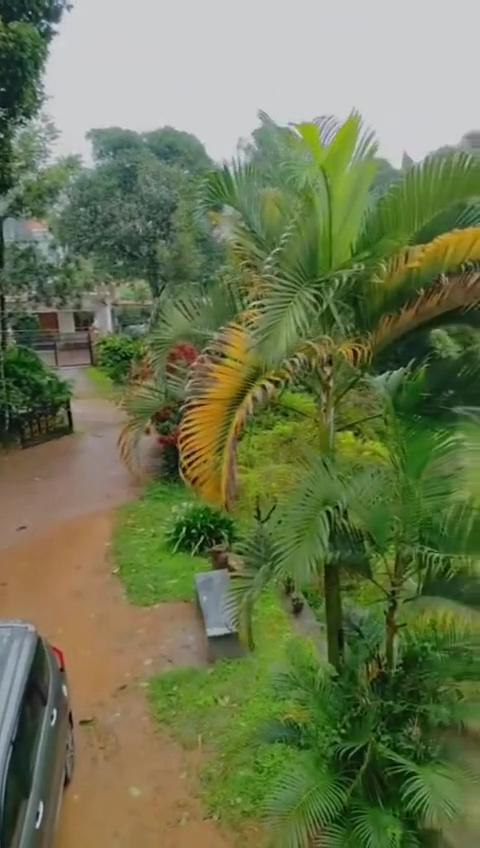 The Nirvana's B&B coorg-The Best Homestay in Coorg – photo 2
