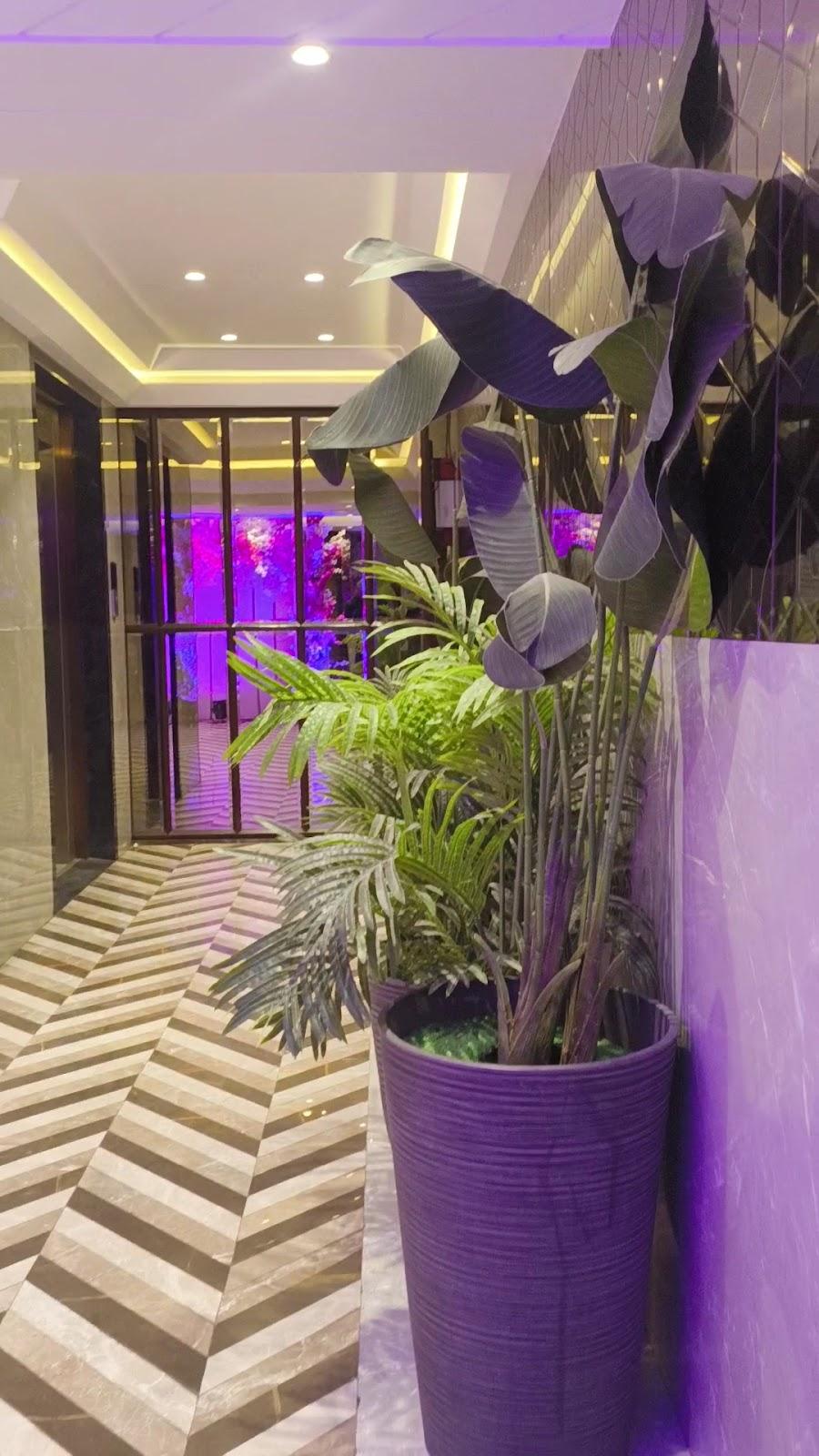 Hotel Regal Palace – photo 2