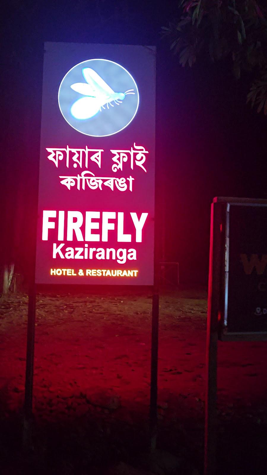 Firefly – photo 2