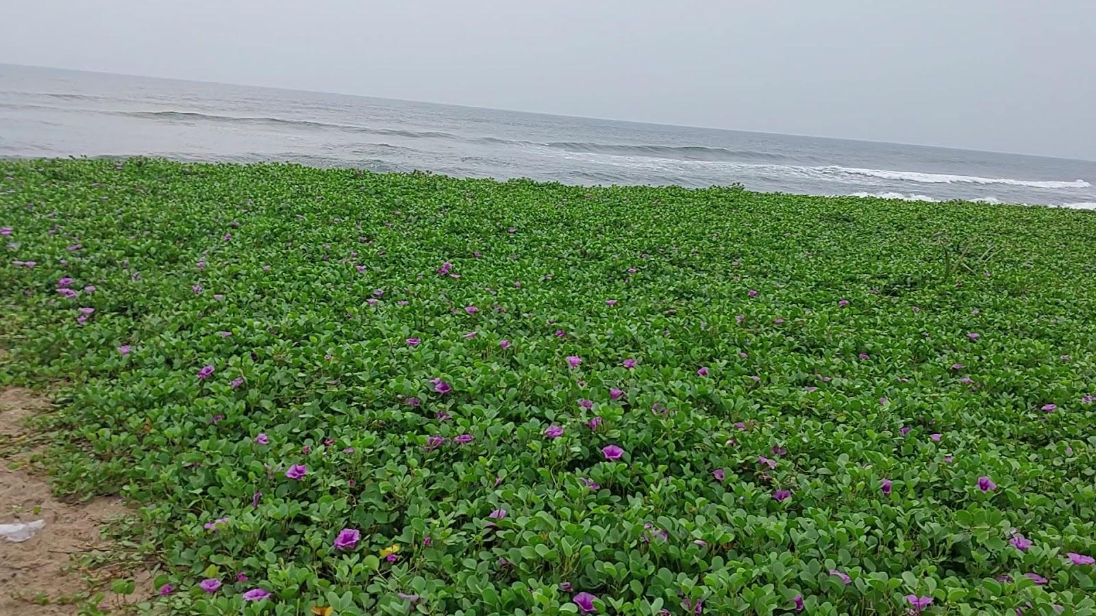 Madras Beach House - For rent in ECR – photo 3