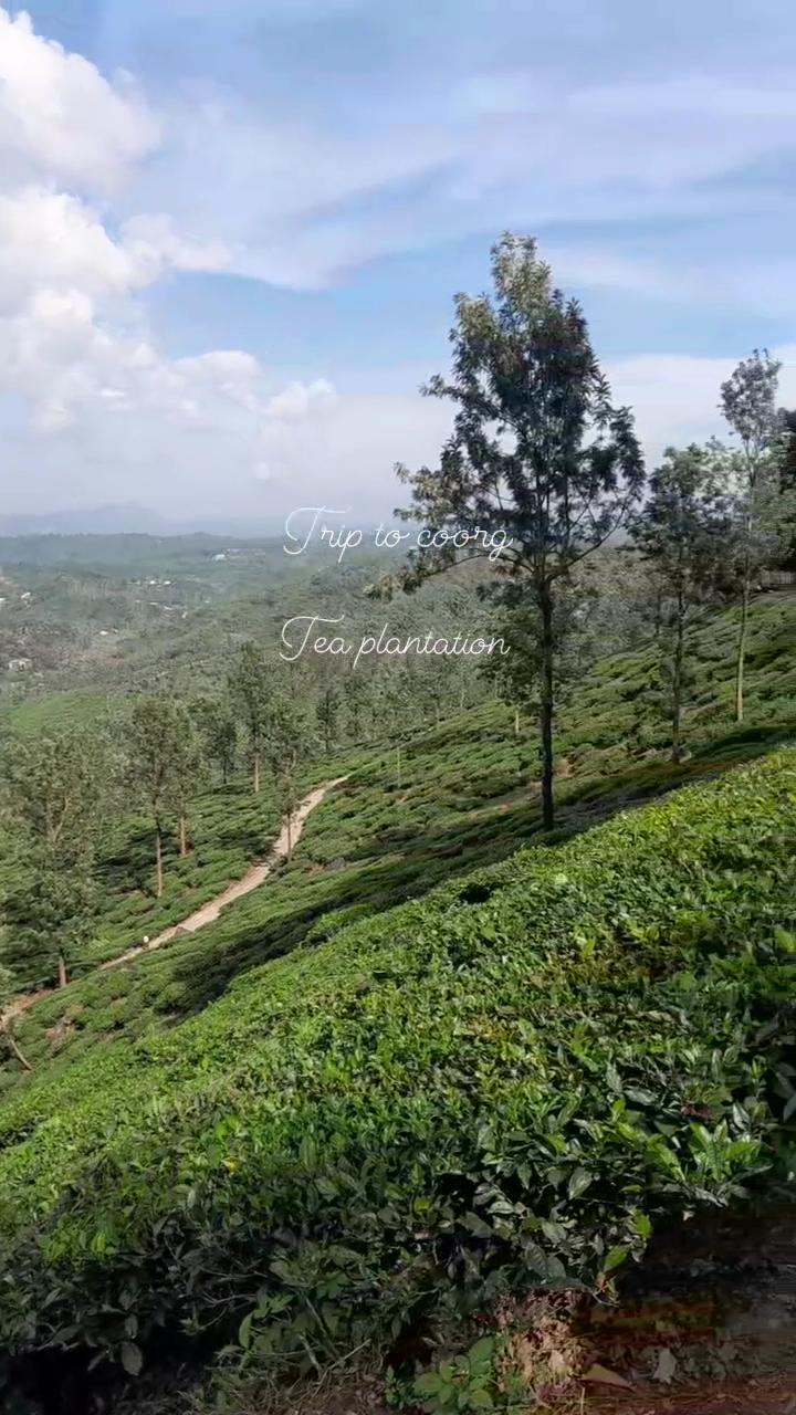trip to coorg – photo 2