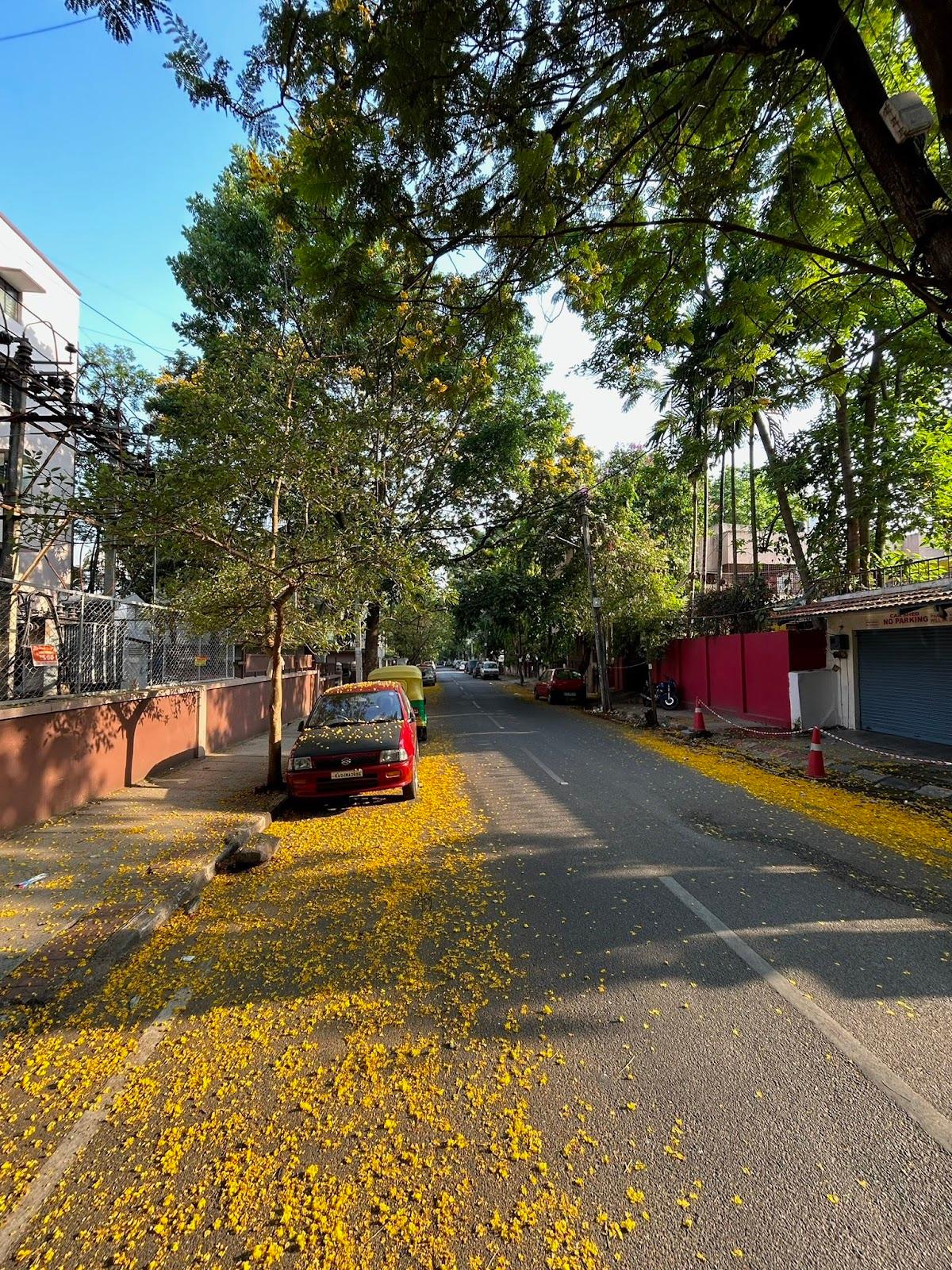 Bangalore – photo 2