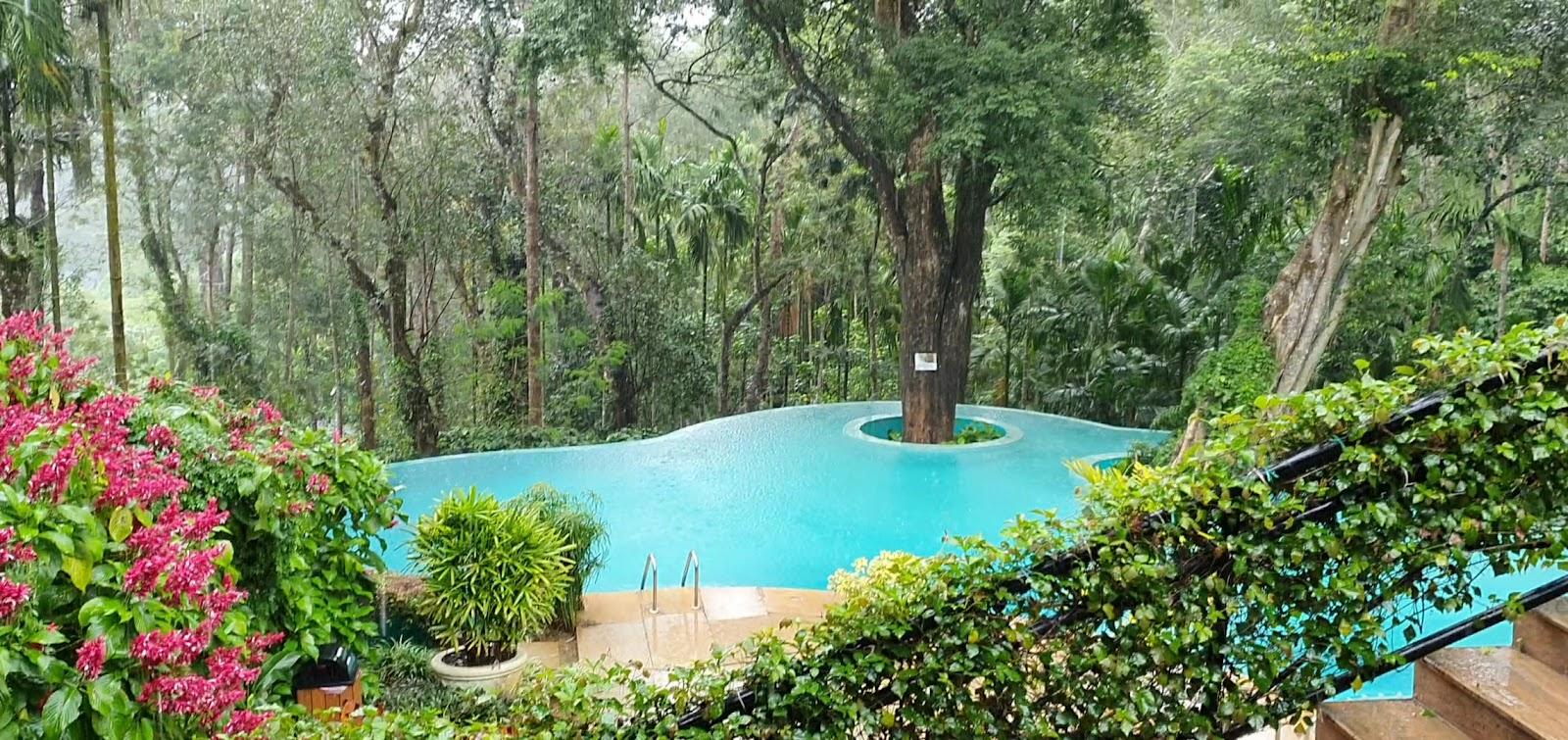 The Windflower Resorts And Spa Coorg – photo 2