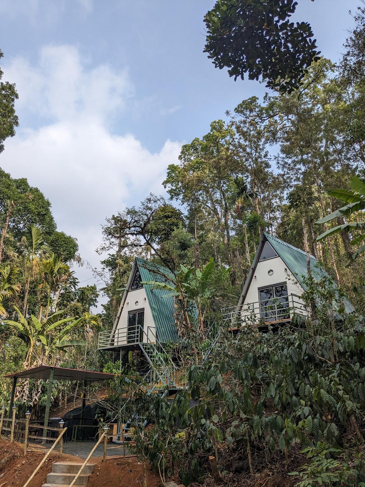 Coorgology - The estate stay – photo 1