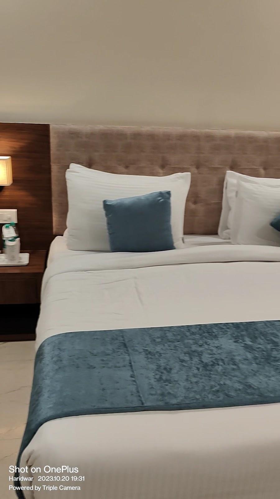 The Forest Hill Hotel – photo 2