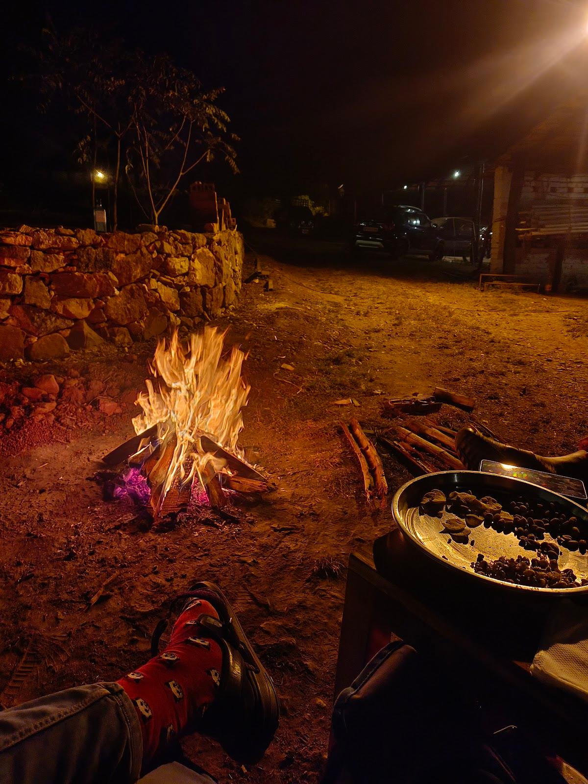 Mandala Farms, Araku Valley – photo 3