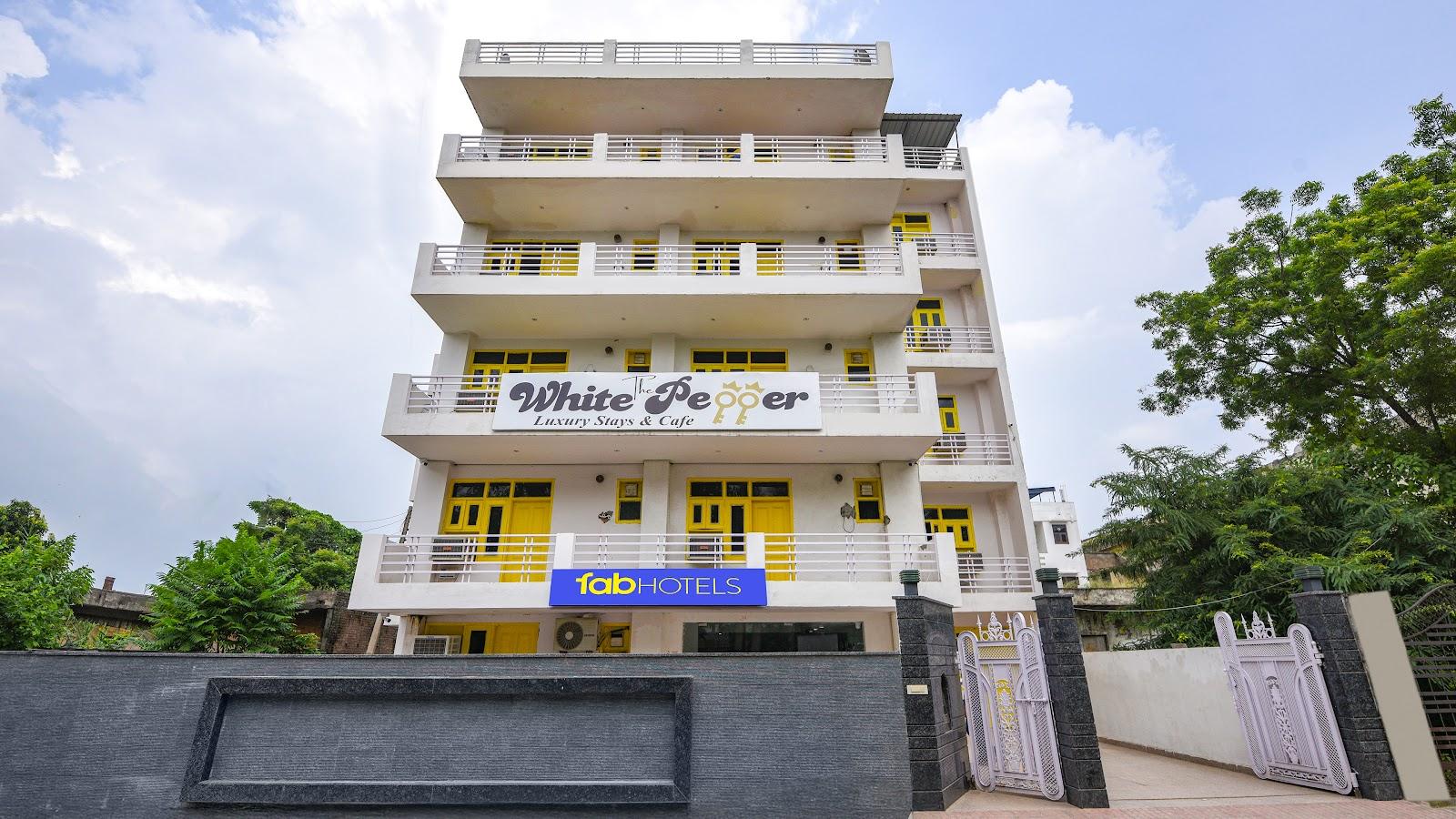 The white Pepper – photo 1