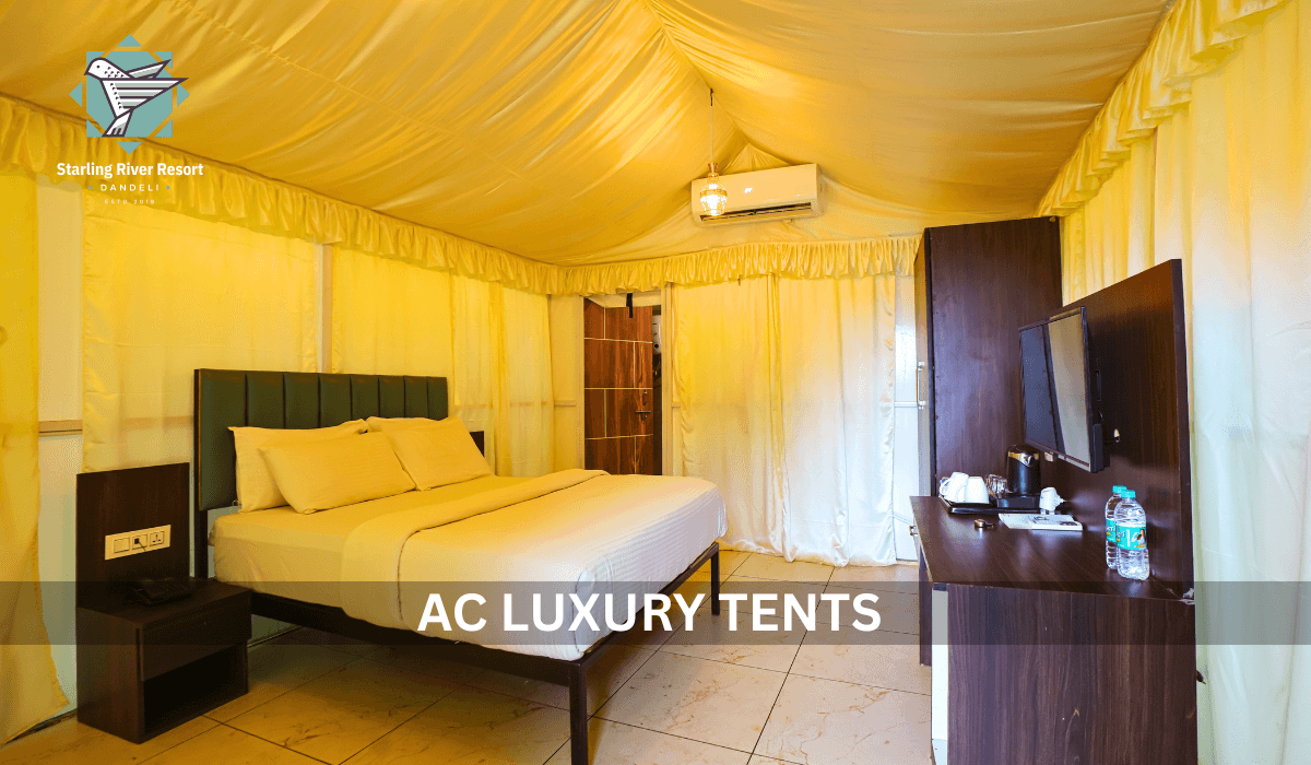 Starling River Resort – photo 3