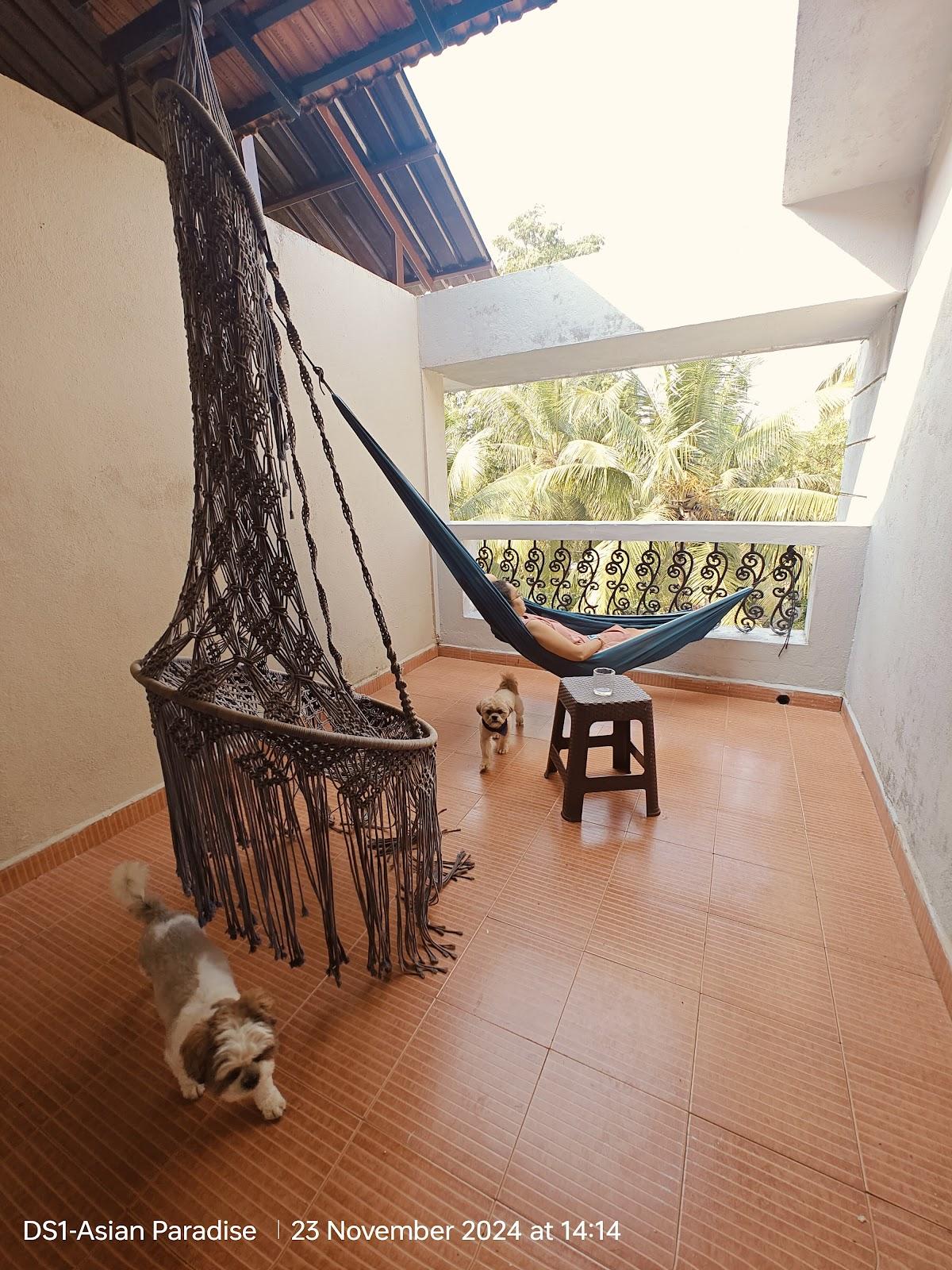 Sonali's cozy home – photo 4