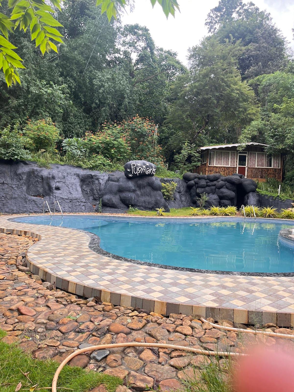 Pugmarks Jungle Resort – photo 4